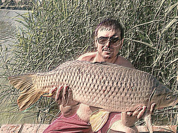 Poze reusite si nereusite - pleasa-16.jpg